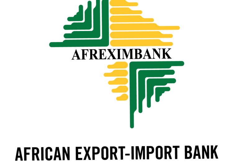 Nigeria Poised to Lead Africa’s Digital Trade Future — Afreximbank