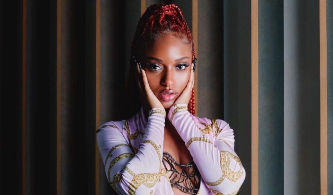 ‘New York Feels Like a Freezer’ — Ayra Starr Opens Up on Loneliness After Moving to the US