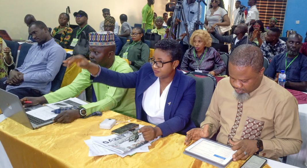 Nigeria Media Expert Calls for Protection of Journalists, Journalism Profession