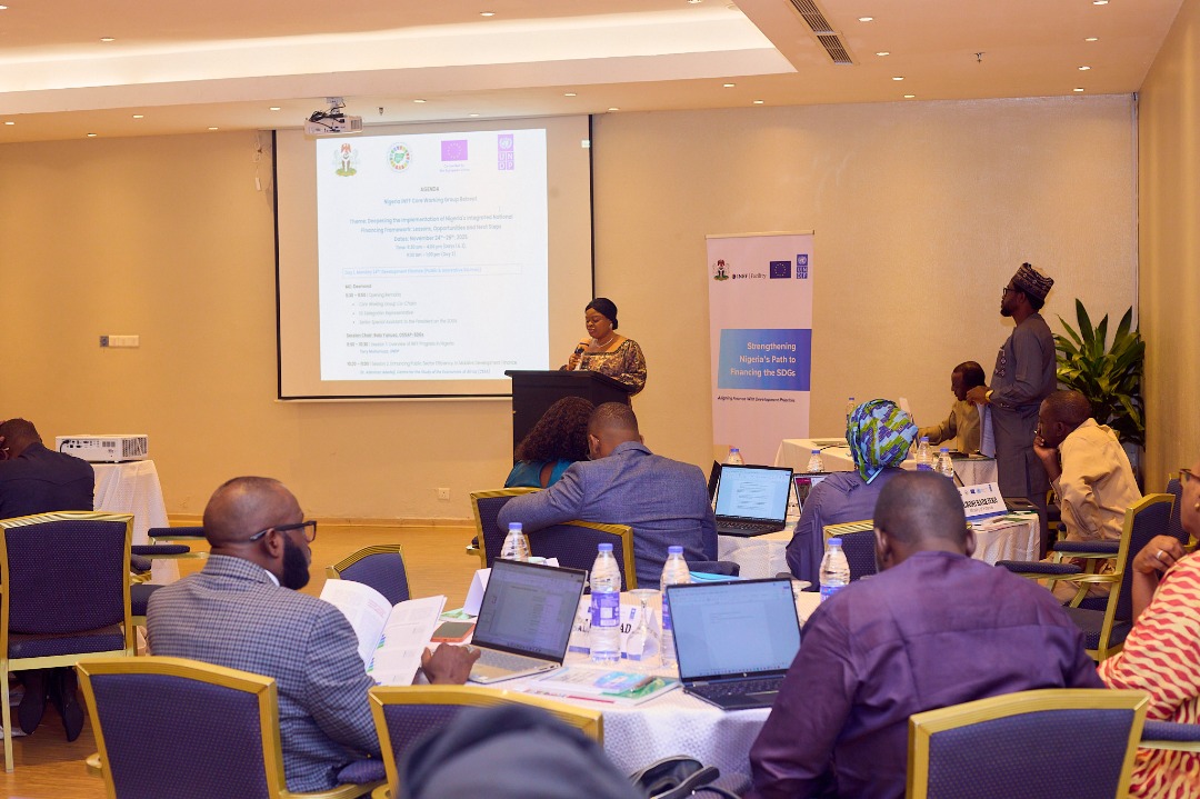 SDGs: Nigeria Moves to Fix Development Financing Gaps through INFF