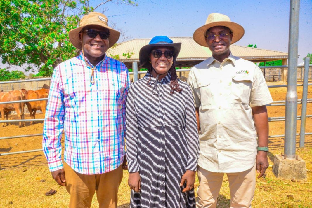 FG Pushes Ranching Expansion, Eyes National Feed Network and Breeding Hubs