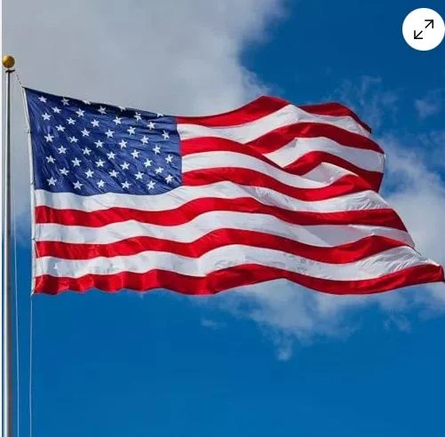 FULL LIST: US halts green card, citizenship applications for Nigerians, others