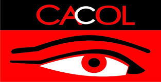 CACOL Commends EFCC, Judiciary Over Conviction of Former Power Minister Saleh Mamman